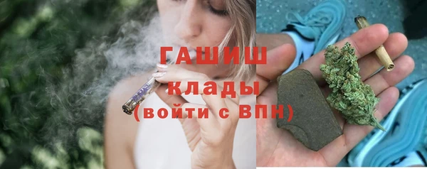 стаф Каменногорск