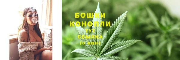 стаф Каменногорск