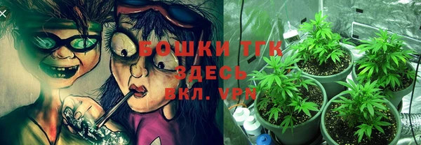 стаф Каменногорск