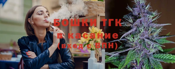 стаф Каменногорск