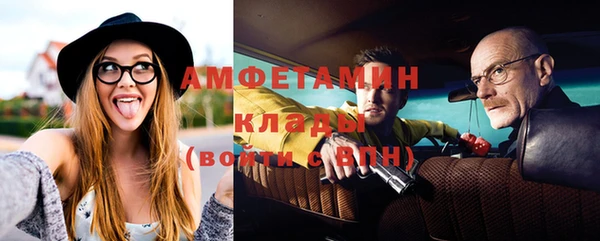 стаф Каменногорск
